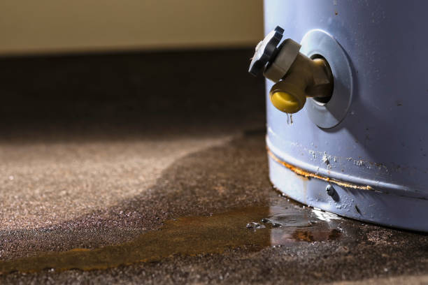Best Basement water damage restoration  in Chevy Chase Heights, PA