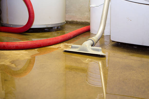 Best Local water damage restoration  in Chevy Chase Heights, PA